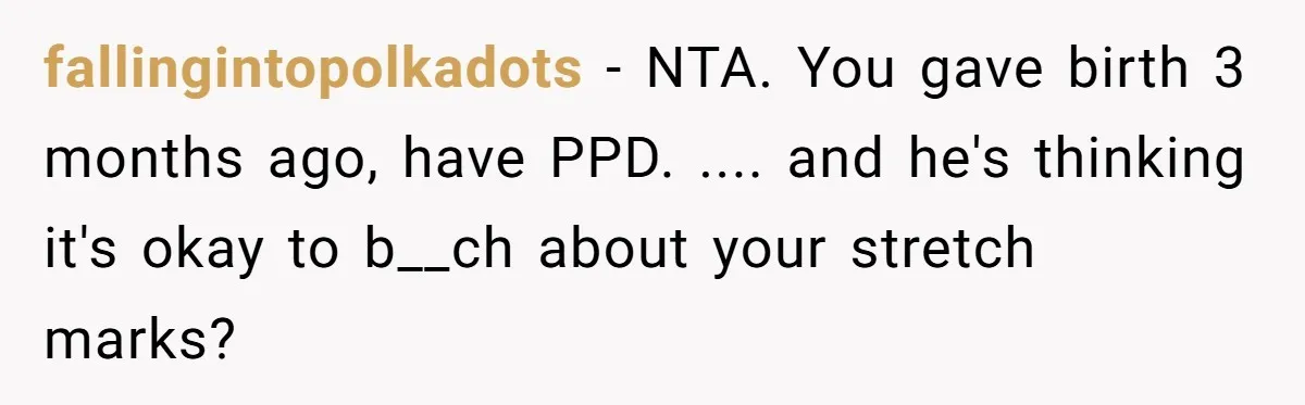 fallingintopolkadots − NTA. You gave birth 3 months ago, have PPD. .... and he's thinking it's okay to b__ch about your stretch marks?