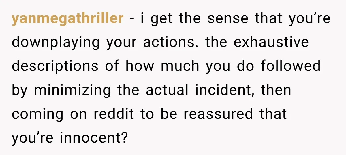 yanmegathriller - i get the sense that you’re downplaying your actions. the exhaustive descriptions of how much you do followed by minimizing the actual incident, then coming on reddit to...