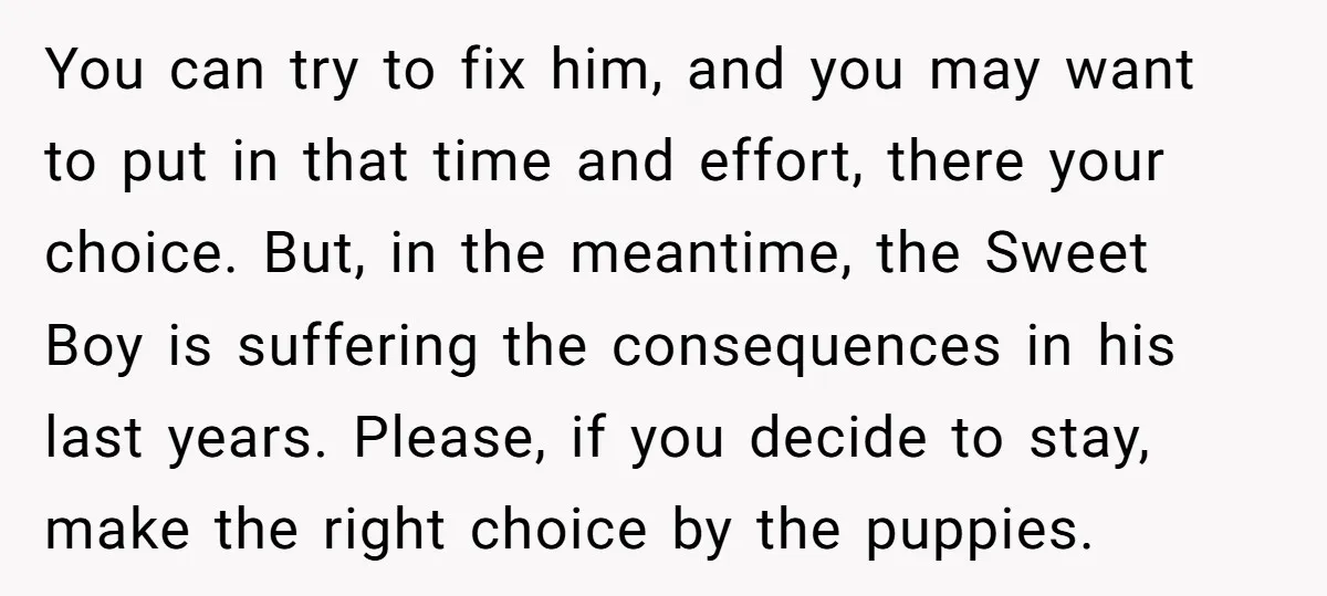 You can try to fix him, and you may want to put in that time and effort, there your choice. But, in the meantime, the Sweet Boy is suffering the...