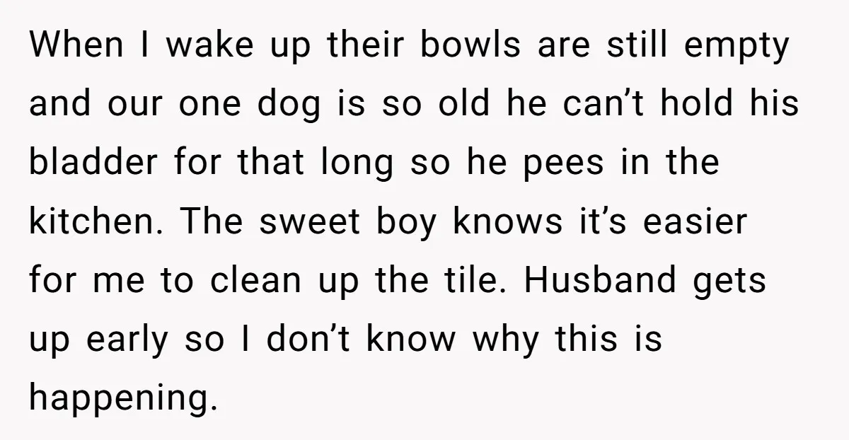 When I wake up their bowls are still empty and our one dog is so old he can’t hold his bladder for that long so he pees in the kitchen....