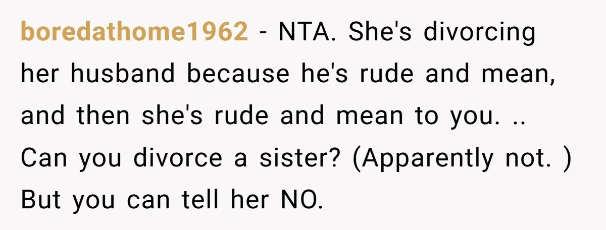 boredathome1962 − NTA. She's divorcing her husband because he's rude and mean, and then she's rude and mean to you. .. Can you divorce a sister? (Apparently not. ) But...
