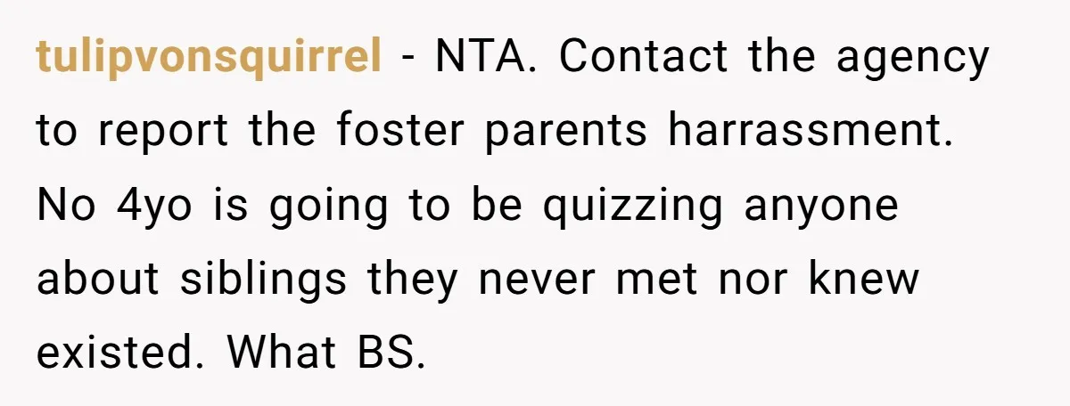 tulipvonsquirrel − NTA. Contact the agency to report the foster parents harrassment. No 4yo is going to be quizzing anyone about siblings they never met nor knew existed. What BS.