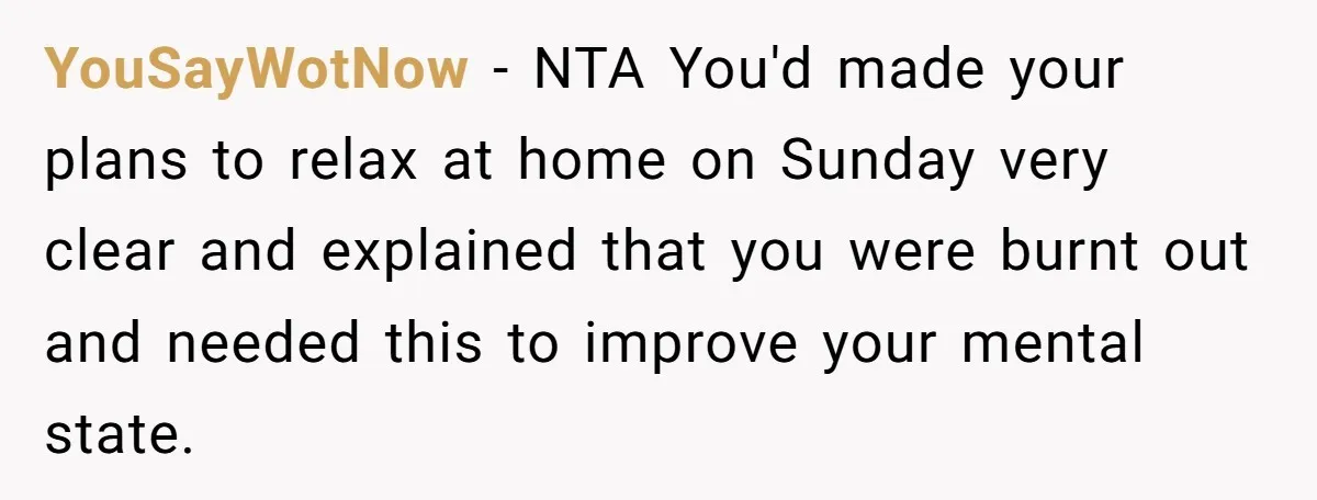 YouSayWotNow − NTA You'd made your plans to relax at home on Sunday very clear and explained that you were burnt out and needed this to improve your mental state.
