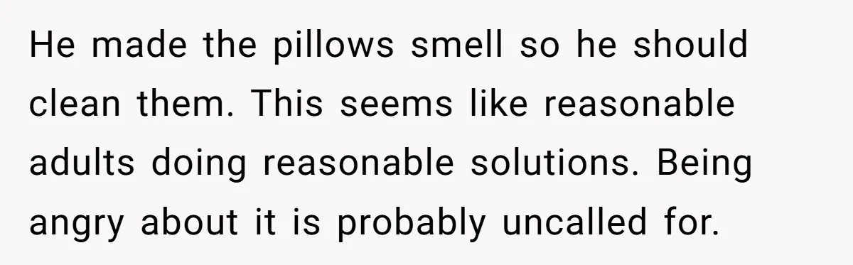 He made the pillows smell so he should clean them. This seems like reasonable adults doing reasonable solutions. Being angry about it is probably uncalled for.