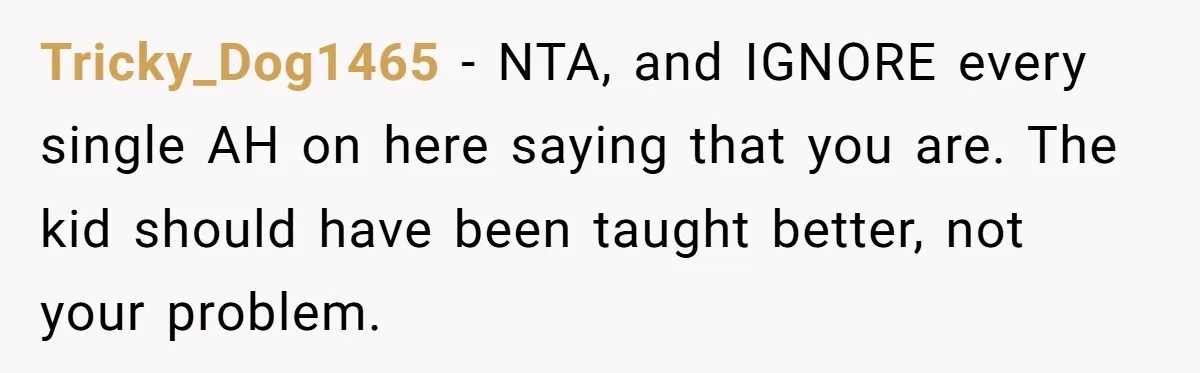 Tricky_Dog1465 − NTA, and IGNORE every single AH on here saying that you are. The kid should have been taught better, not your problem.