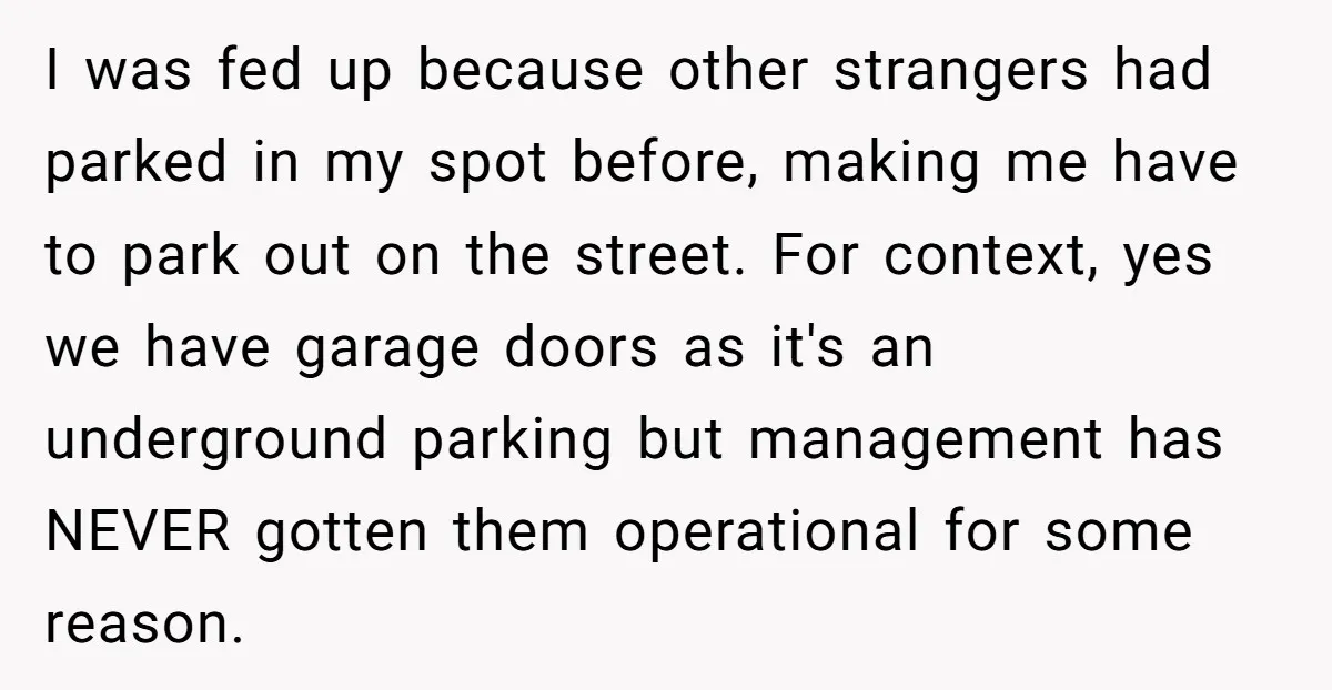 I was fed up because other strangers had parked in my spot before, making me have to park out on the street. For context, yes we have garage doors as...