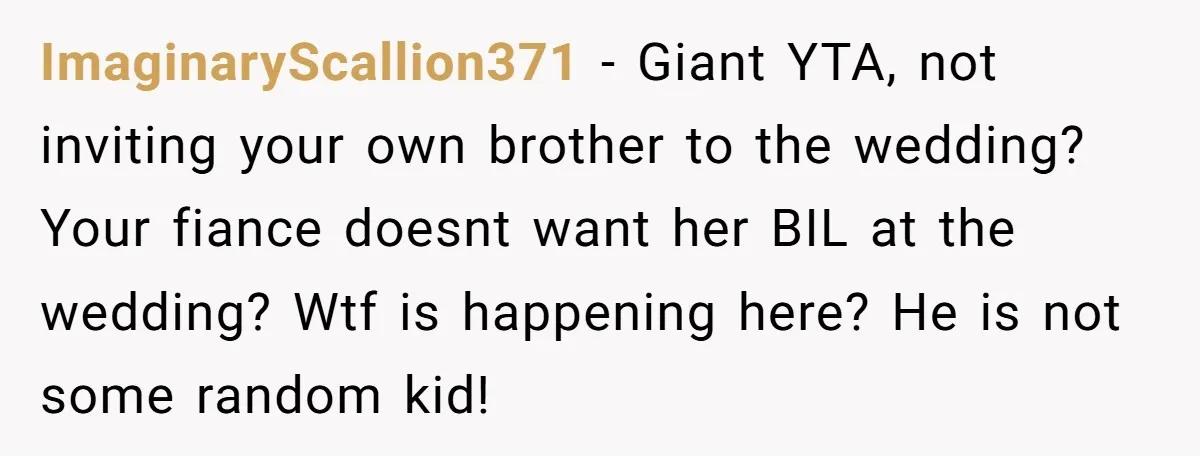 ImaginaryScallion371 − Giant YTA, not inviting your own brother to the wedding? Your fiance doesnt want her BIL at the wedding? Wtf is happening here? He is not some random...