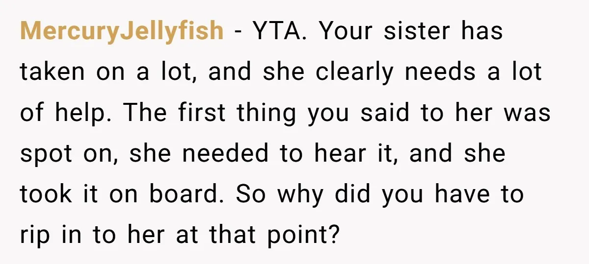 MercuryJellyfish − YTA. Your sister has taken on a lot, and she clearly needs a lot of help. The first thing you said to her was spot on, she needed...