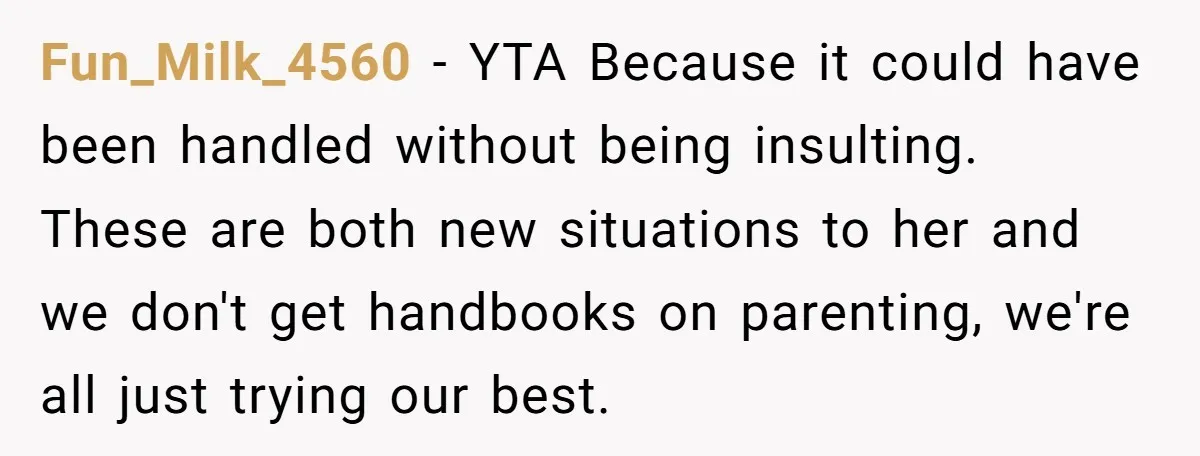 Fun_Milk_4560 − YTA Because it could have been handled without being insulting. These are both new situations to her and we don't get handbooks on parenting, we're all just trying...