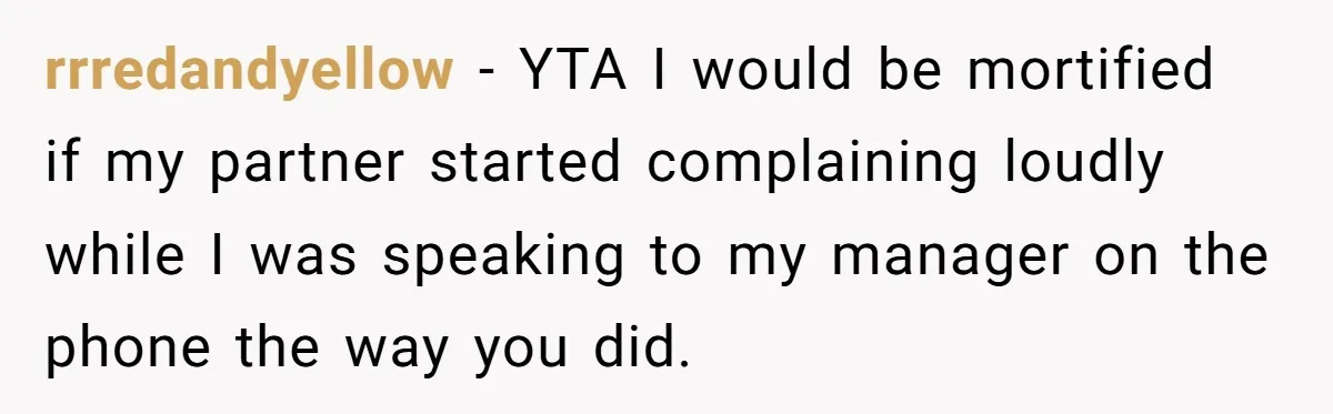 rrredandyellow − YTA I would be mortified if my partner started complaining loudly while I was speaking to my manager on the phone the way you did.