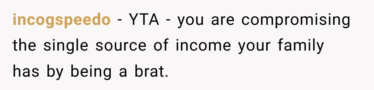 incogspeedo − YTA - you are compromising the single source of income your family has by being a brat.