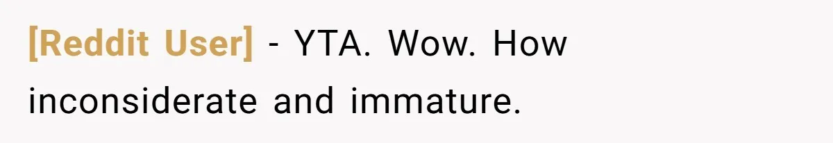 [Reddit User] − YTA. Wow. How inconsiderate and immature.