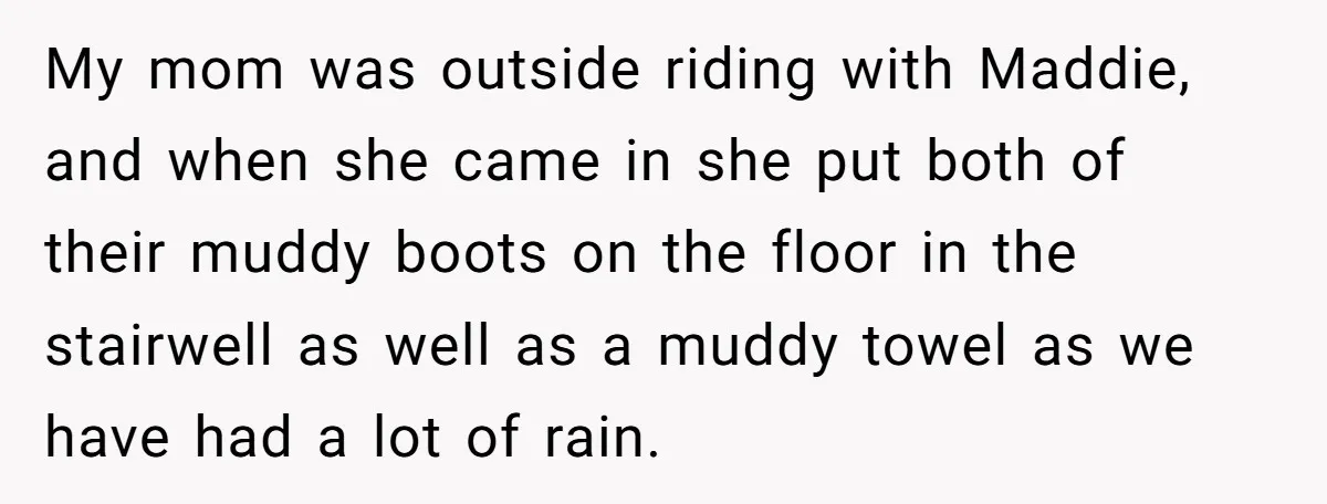 My mom was outside riding with Maddie, and when she came in she put both of their muddy boots on the floor in the stairwell as well as a muddy...