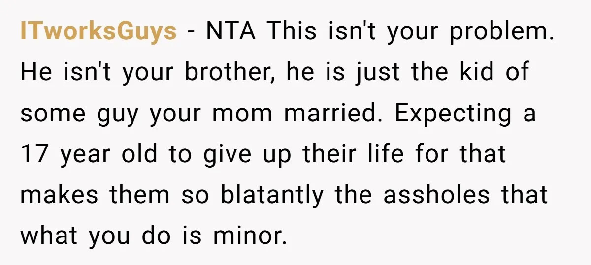 ITworksGuys − NTA This isn't your problem. He isn't your brother, he is just the kid of some guy your mom married. Expecting a 17 year old to give up...