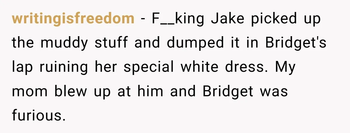 writingisfreedom − F__king Jake picked up the muddy stuff and dumped it in Bridget's lap ruining her special white dress. My mom blew up at him and Bridget was furious.
