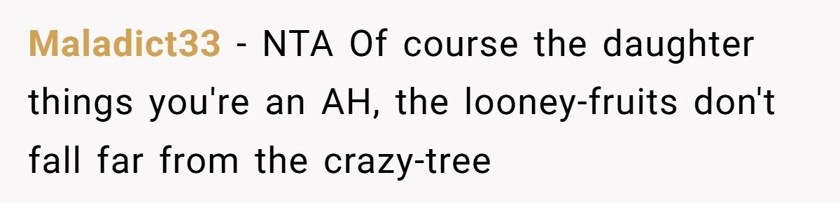 Maladict33 − NTA Of course the daughter things you're an AH, the looney-fruits don't fall far from the crazy-tree