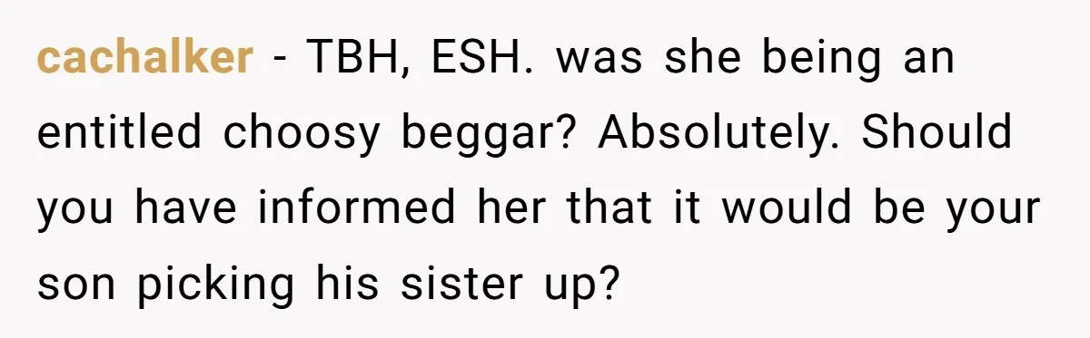 cachalker − TBH, ESH. was she being an entitled choosy beggar? Absolutely. Should you have informed her that it would be your son picking his sister up?
