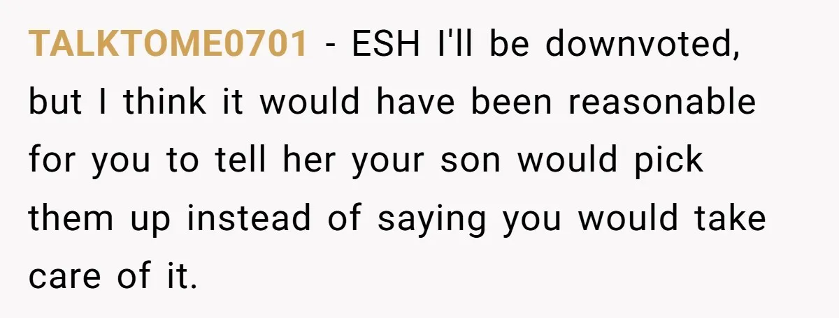 TALKTOME0701 − ESH I'll be downvoted, but I think it would have been reasonable for you to tell her your son would pick them up instead of saying you would...