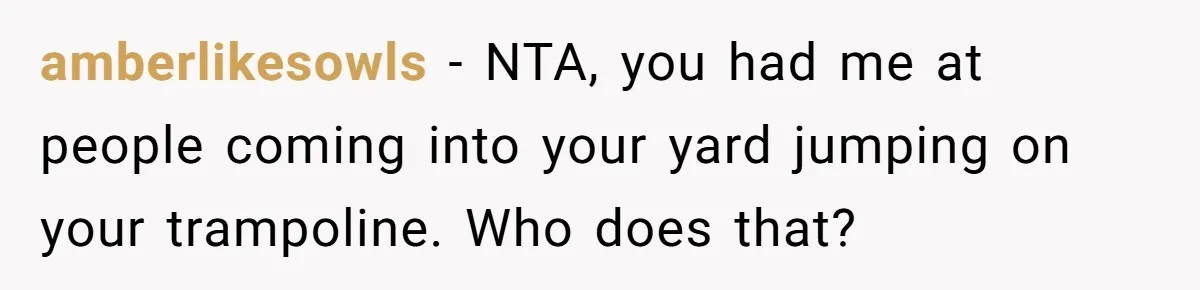 amberlikesowls − NTA, you had me at people coming into your yard jumping on your trampoline. Who does that?