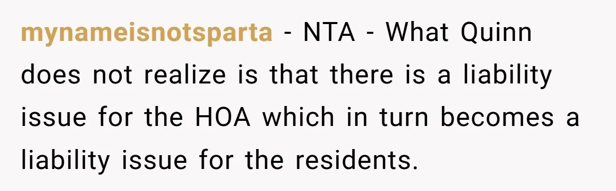 mynameisnotsparta − NTA - What Quinn does not realize is that there is a liability issue for the HOA which in turn becomes a liability issue for the residents.