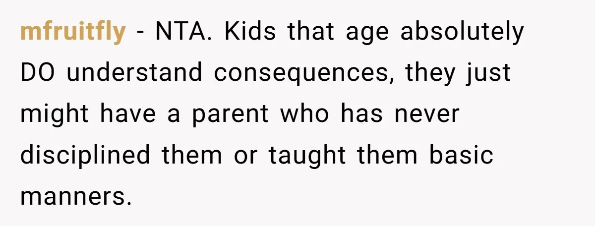 mfruitfly − NTA. Kids that age absolutely DO understand consequences, they just might have a parent who has never disciplined them or taught them basic manners.