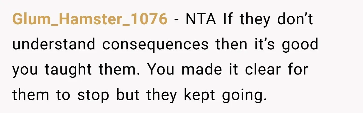 Glum_Hamster_1076 − NTA If they don’t understand consequences then it’s good you taught them. You made it clear for them to stop but they kept going.