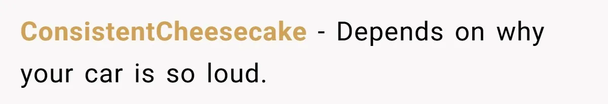 ConsistentCheesecake − Depends on why your car is so loud.