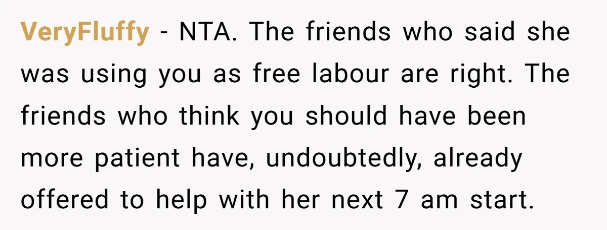 VeryFluffy − NTA. The friends who said she was using you as free labour are right. The friends who think you should have been more patient have, undoubtedly, already offered...