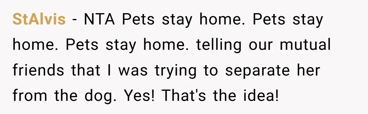 StAlvis − NTA Pets stay home. Pets stay home. Pets stay home. telling our mutual friends that I was trying to separate her from the dog. Yes! That's the idea!
