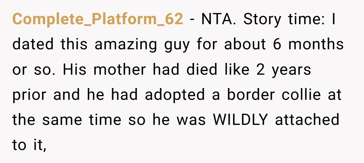 Complete_Platform_62 − NTA. Story time: I dated this amazing guy for about 6 months or so. His mother had died like 2 years prior and he had adopted a border...