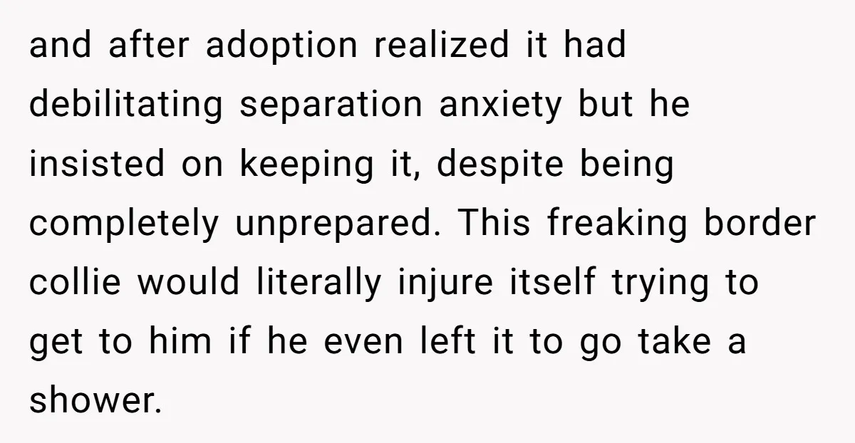 and after adoption realized it had debilitating separation anxiety but he insisted on keeping it, despite being completely unprepared. This freaking border collie would literally injure itself trying to get...