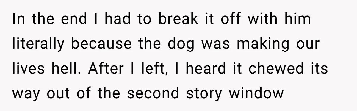 In the end I had to break it off with him literally because the dog was making our lives hell. After I left, I heard it chewed its way out...