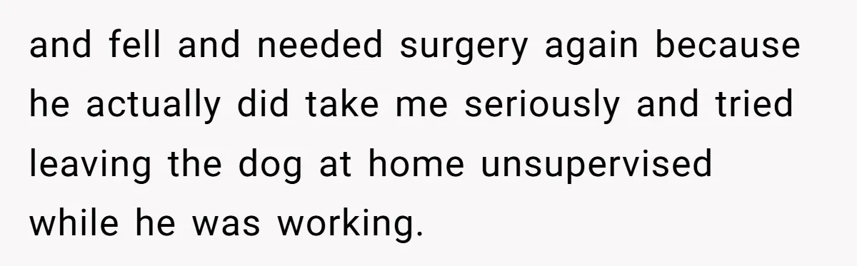 and fell and needed surgery again because he actually did take me seriously and tried leaving the dog at home unsupervised while he was working.