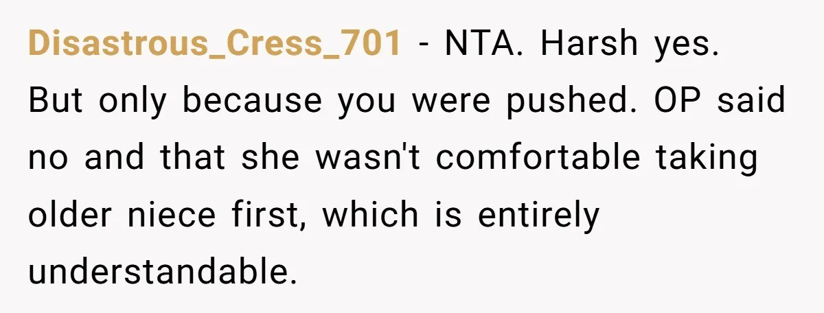 Disastrous_Cress_701 − NTA. Harsh yes. But only because you were pushed. OP said no and that she wasn't comfortable taking older niece first, which is entirely understandable.