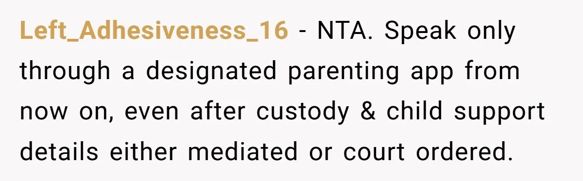 Left_Adhesiveness_16 − NTA. Speak only through a designated parenting app from now on, even after custody & child support details either mediated or court ordered.