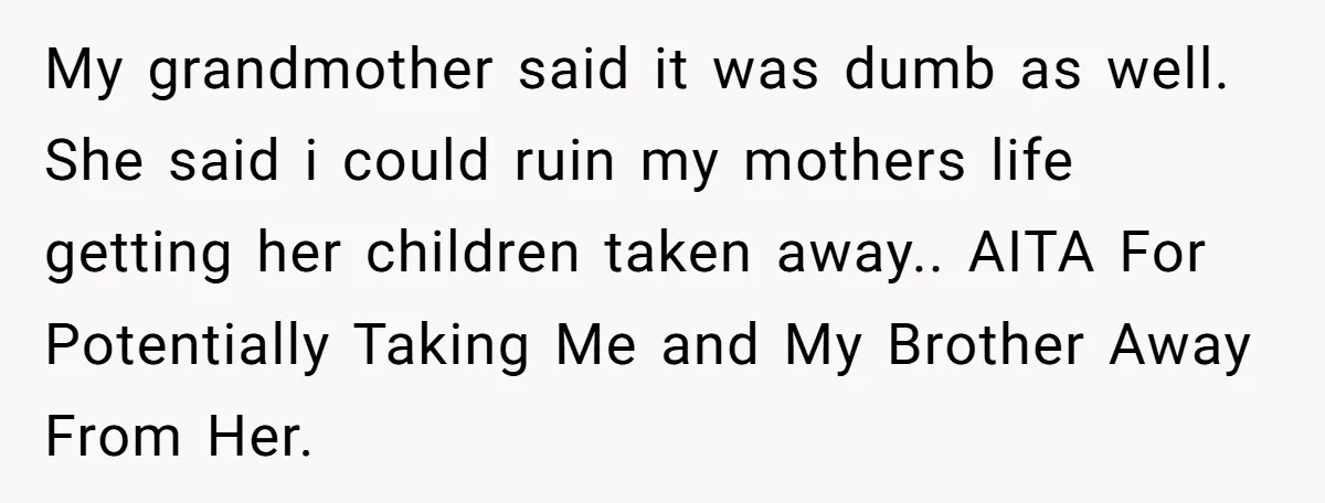 My grandmother said it was dumb as well. She said i could ruin my mothers life getting her children taken away.. AITA For Potentially Taking Me and My Brother Away...