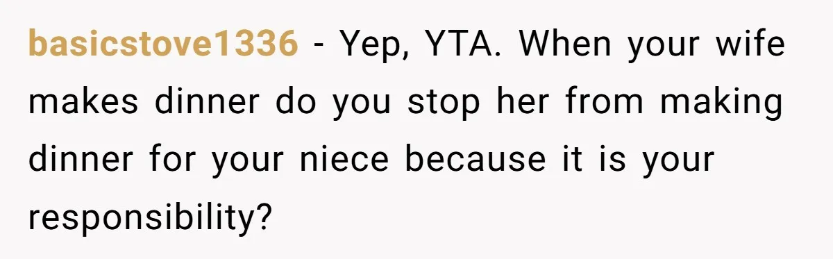 basicstove1336 − Yep, YTA. When your wife makes dinner do you stop her from making dinner for your niece because it is your responsibility?