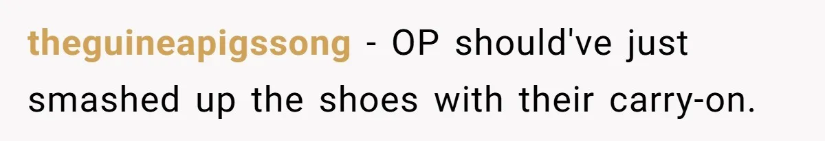 theguineapigssong − OP should've just smashed up the shoes with their carry-on.