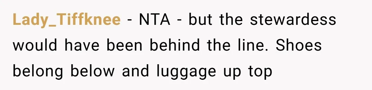 Lady_Tiffknee − NTA - but the stewardess would have been behind the line. Shoes belong below and luggage up top