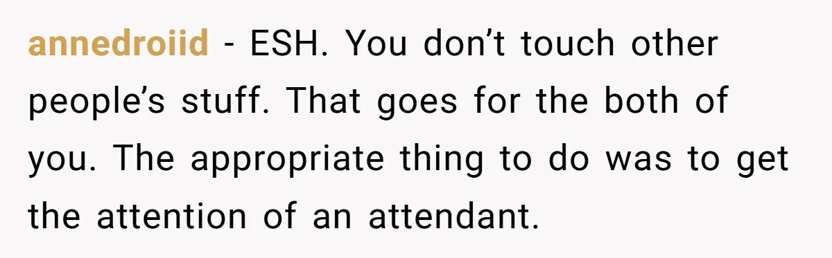 annedroiid − ESH. You don’t touch other people’s stuff. That goes for the both of you. The appropriate thing to do was to get the attention of an attendant.