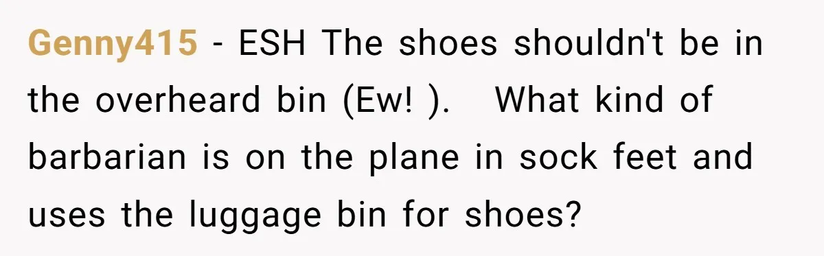 Genny415 − ESH The shoes shouldn't be in the overheard bin (Ew! ). What kind of barbarian is on the plane in sock feet and uses the luggage bin for...