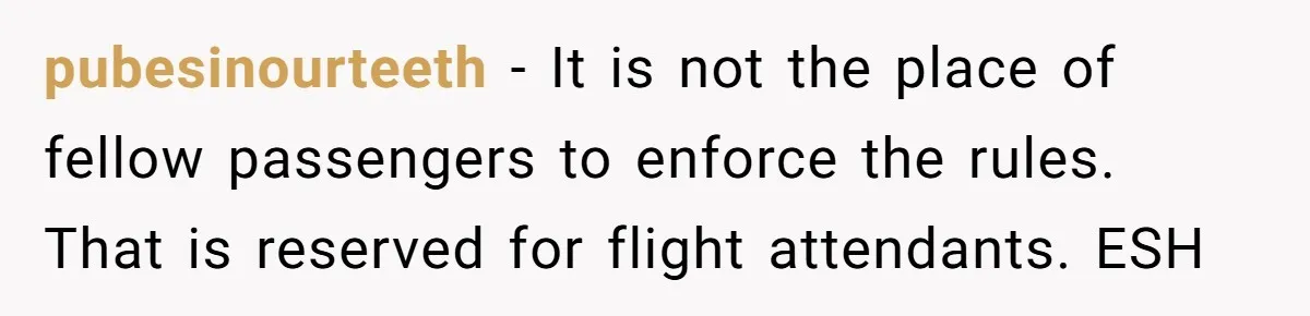 pubesinourteeth − It is not the place of fellow passengers to enforce the rules. That is reserved for flight attendants. ESH