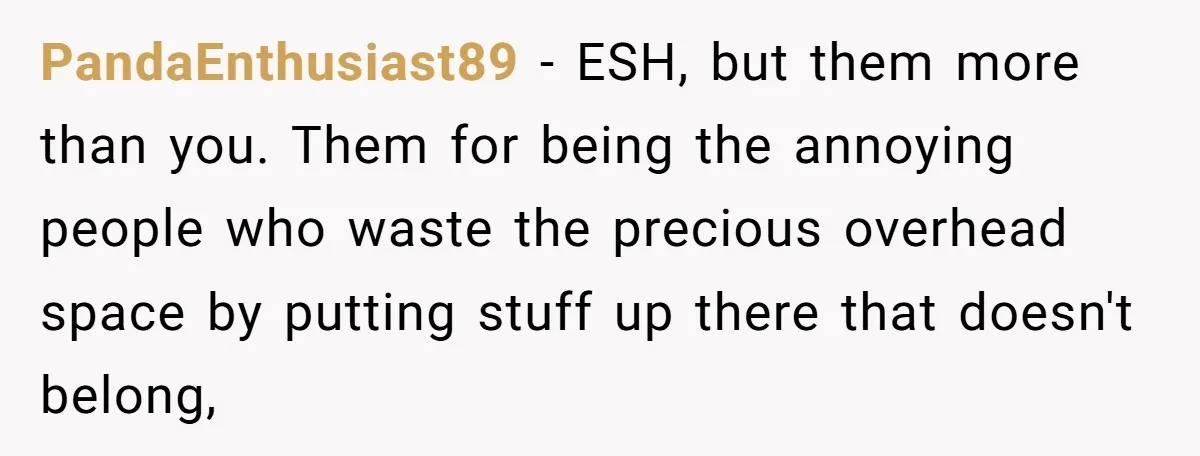 PandaEnthusiast89 − ESH, but them more than you. Them for being the annoying people who waste the precious overhead space by putting stuff up there that doesn't belong,