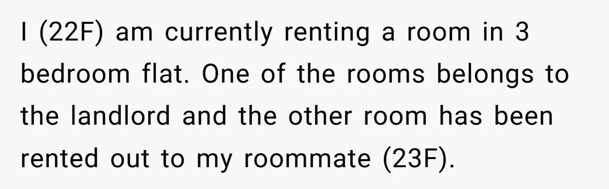 I (22F) am currently renting a room in 3 bedroom flat. One of the rooms belongs to the landlord and the other room has been rented out to my roommate...