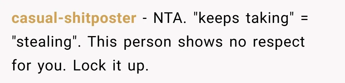 casual-shitposter − NTA. "keeps taking" = "stealing". This person shows no respect for you. Lock it up.