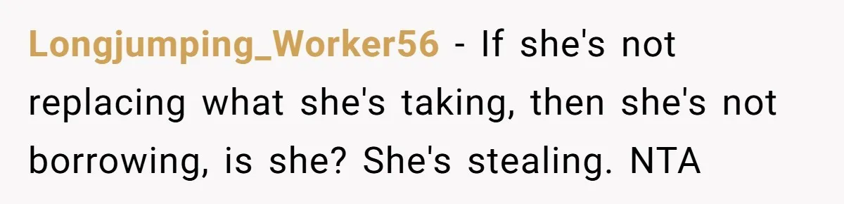 Longjumping_Worker56 − If she's not replacing what she's taking, then she's not borrowing, is she? She's stealing. NTA