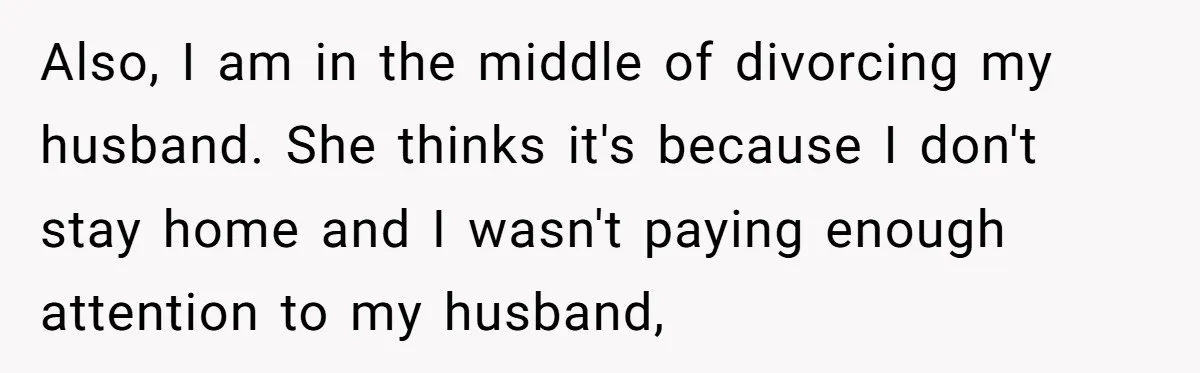 Also, I am in the middle of divorcing my husband. She thinks it's because I don't stay home and I wasn't paying enough attention to my husband,