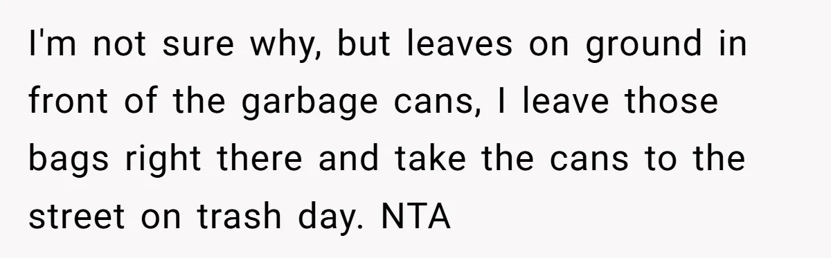 I'm not sure why, but leaves on ground in front of the garbage cans, I leave those bags right there and take the cans to the street on trash day....