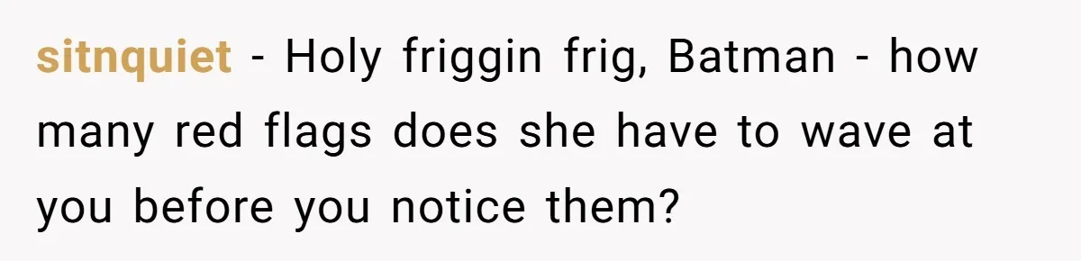 sitnquiet − Holy friggin frig, Batman - how many red flags does she have to wave at you before you notice them?