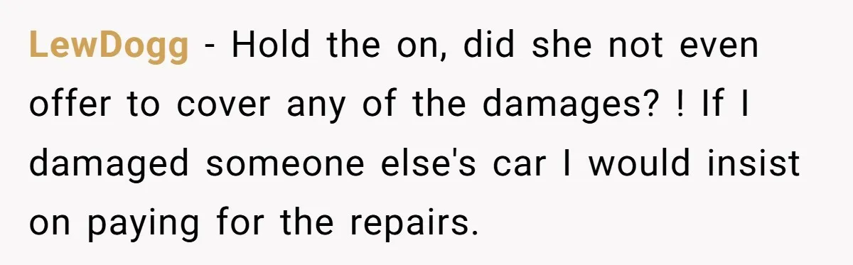 LewDogg − Hold the on, did she not even offer to cover any of the damages? ! If I damaged someone else's car I would insist on paying for the...